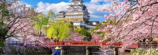 japao cerejeiras